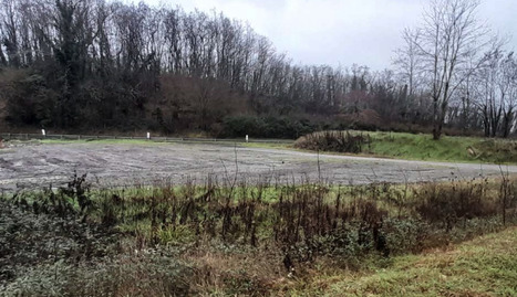 Strat&eacute;gie de renaturation de d&eacute;laiss&eacute;s routiers : une &eacute;tude pour restaurer la biodiversit&eacute; et d&eacute;simperm&eacute;abiliser les sols pour une contribution &agrave; l&rsquo;objectif ZAN | PAYSAGE ET TERRITOIRES | Scoop.it