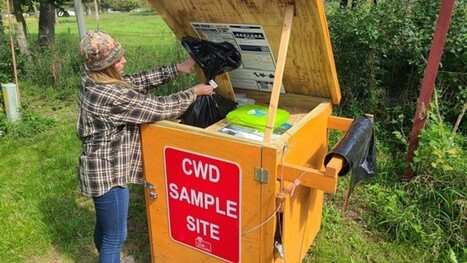 Officials urge hunters to test deer for CWD with new statewide options this season | Industry 411 - Waste Management | Scoop.it