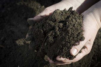 Antidepressant Microbes In Soil: How Dirt Makes You Happy | Vintage Living Today For A Future Tomorrow | Scoop.it