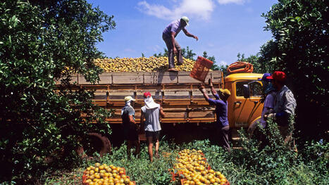 MAROC : le quotidien des migrants subsahariens  | AFRIQUES | Scoop.it