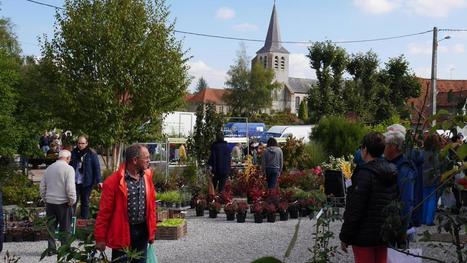 Conchy-sur-Canche (Pas-de-Calais) : La Fête des jardins d’automne de retour ce dimanche | Les Colocs du jardin | Scoop.it