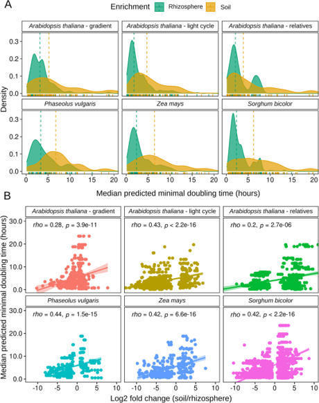 Growth rate is a dominant factor predicting the rhizosphere effect | Plant-Microbe Symbiosis | Scoop.it
