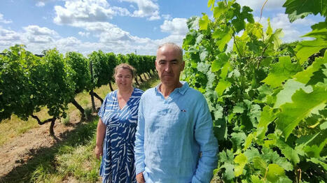Des milliers de postes à pourvoir : les agriculteurs de la région galèrent à trouver des saisonniers - Ouest France [Abonnés] | Agriculture en Pays de la Loire | Scoop.it