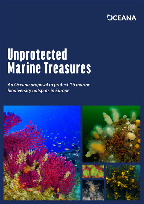 Unprotected Marine Treasures: An Oceana proposal to protect 15 marine biodiversity hotspots in Europe | Biodiversité | Scoop.it