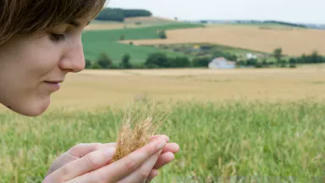 La gestion des risques en agriculture - Ministère de l'agriculture | Pour innover en agriculture | Scoop.it