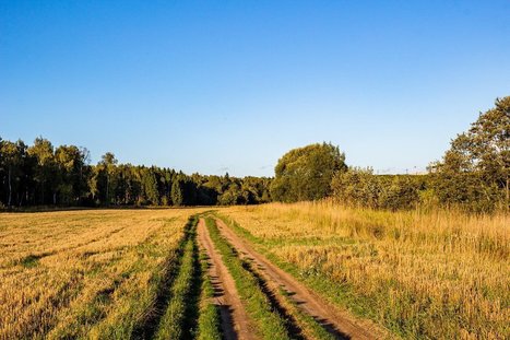 Russian Agriculture: The Importance of Biotechnology | CONFLIT RUSSO-UKRAINIEN | Scoop.it