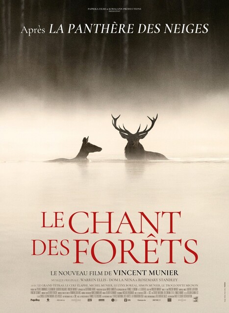 Mois du Patrimoine 2026 en Aure et Louron :&nbsp; balade "sylvosophique" suivie de la projection du film "le Chant des For&ecirc;ts" le 25 septembre &agrave; Gouaux | Vall&eacute;es d'Aure & Louron - Pyr&eacute;n&eacute;es | Scoop.it