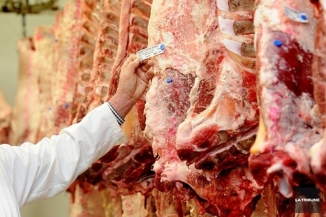 Capacité d'abattage: Viandes Giroux lance un cri d'alarme (Québec) | La Gazette des abattoirs | Scoop.it
