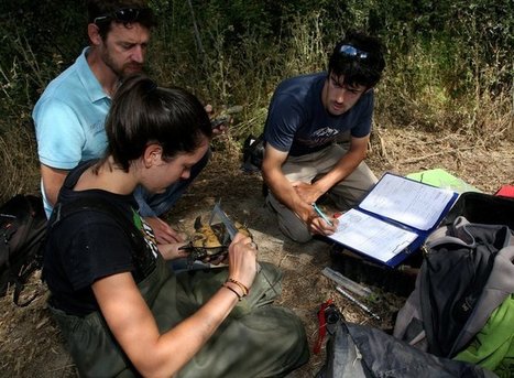 Les tortues d'eau douce se plaisent dans la Durance | Biodiversité | Scoop.it