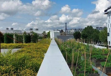 Partenariat autour du numérique pour réinventer les fermes urbaines - News/Actualités | ESPACES VEGETALISES URBAINS | Scoop.it