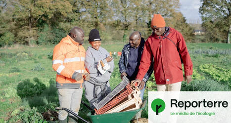 Des agriculteurs exil&eacute;s se lancent dans le mara&icirc;chage pr&egrave;s de Rennes | Questions de d&eacute;veloppement ... | Scoop.it