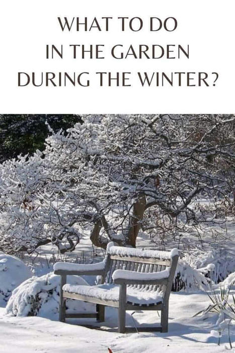 What to Do in the Garden during the Winter? | 1001 Gardens ideas ! | Scoop.it