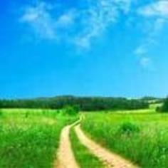 If Anyone Wishes to Come After Me | Stewardship Ministries | Spiritual Report - The GPS For Your Eternal Legacy | Scoop.it
