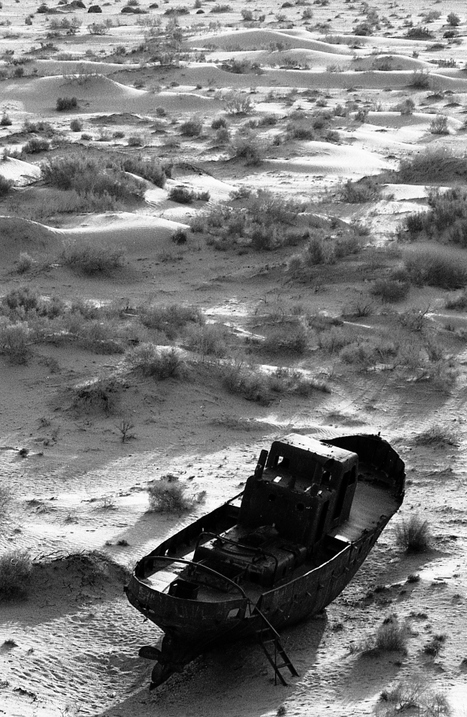 Aral aux mouettes mortes « Al-Atlaal | Les déserts dans le monde | Scoop.it