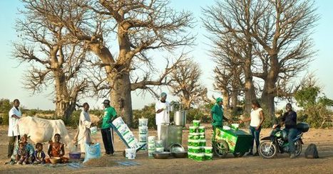 Sénégal : La laiterie du berger en quête d’identité | Lait de Normandie... et d'ailleurs | Scoop.it