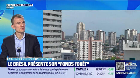 L'ECHO DEMETER : Le Brésil, hôte d'une COP sous tension | L'ECHO DEMETER | Scoop.it