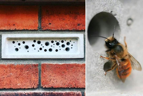 Bee Brick : d'&eacute;tonnantes briques de construction "&agrave; trous" pour accueillir les abeilles | Vari&eacute;t&eacute;s entomologiques | Scoop.it