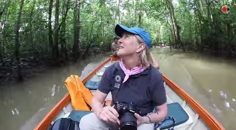 10 Things to Do in the AMAZON! | Rainforest CLASSROOM | Scoop.it