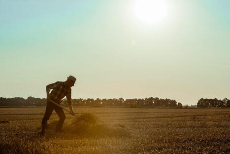 CAP: Many farms 'would not survive financially' without CAP payments  | Revue de presse - Club DEMETER | Scoop.it