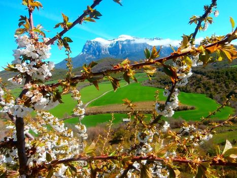 Concours spécial Lucien Briet : "Depuis ma fenêtre" | Vallées d'Aure & Louron - Pyrénées | Scoop.it