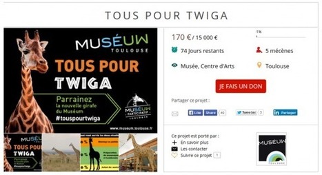 Le Muséum de Toulouse lance sa campagne de crowdfunding "Tous pour Twiga" avec Culture Time | Mécénat participatif, crowdfunding & intérêt général | Scoop.it