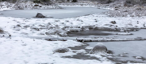 Vuosikatsaus 2025 | 1Uutiset - Lukemisen t&auml;hden | Scoop.it