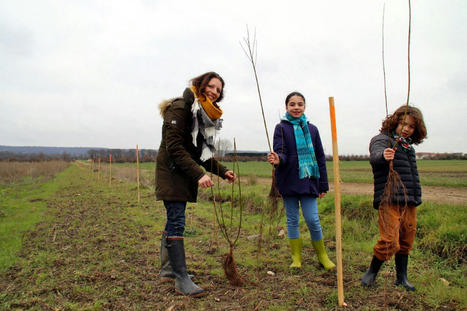 Des élèves impliqués dans la transition écologique sur la plaine du Plessis-Bouchard | Environnement, paysage et biodiversité | Scoop.it