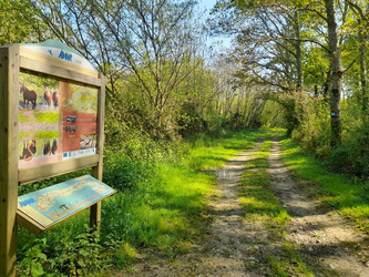 À pied ou à VTT, explorez le sentier de l’Adour entre Dax et Grenade-sur-l’Adour | Landes - Conseils municipaux & communautaires | Scoop.it