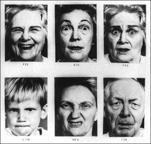 Are Facial Expressions Universal? | Family Office & Billionaire Report - Empowering Family Dynasties | Scoop.it