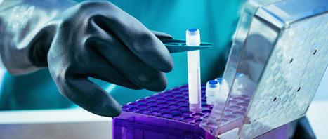 An Insightful Look Into Regenerative Cellular Treatment | Part 2 | Call: 915-850-0900 | Functional Medicine "Advancing The Medical Health Model" | Scoop.it