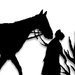 NYTimes: Our Amish, Ourselves | Cultural Geography | Scoop.it