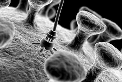 WiFi Nanoparticles Talk To The Brain From Inside | Web 3.0 | Scoop.it
