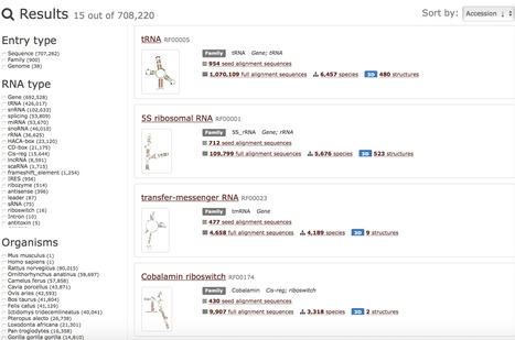 Rfam 13.0: shifting to a genome-centric resource for non-coding RNA families_NAR | RMH | Scoop.it