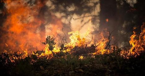 Extreme Weather and the Climate Crisis: The Facts | Curtin Global Challenges Teaching Resources | Scoop.it