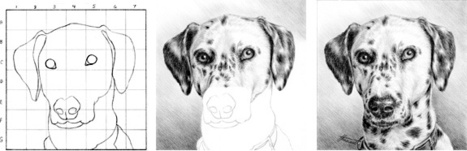 How to Draw a Dalmatian | Drawing and Painting Tutorials | Scoop.it