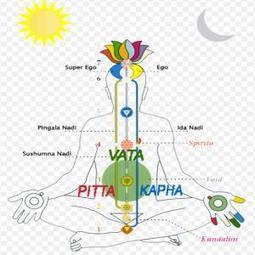 Ayurveda : conseils pour Vata, Pitta, Kapha | Plantes medicinales ... | Santé par les plantes | Scoop.it