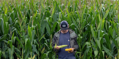 Advocates sound alarm over GOP&rsquo;s environment-destroying &lsquo;monstrosity&rsquo; - Raw Story | Operation Deimos | Scoop.it