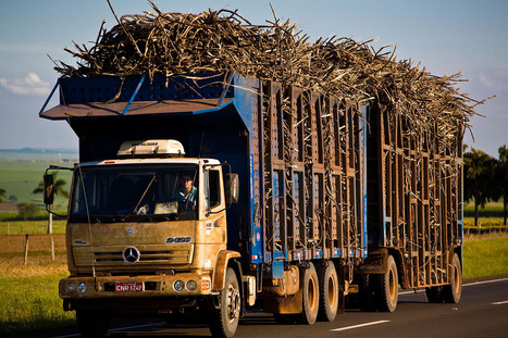 Q&A: How countries are using biofuels to meet their climate targets | Industry 411 - Waste Management | Scoop.it