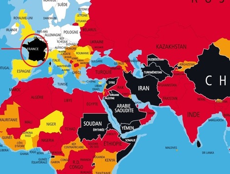 Amnesty International dénonce le projet de loi Renseignement | Libertés Numériques | Scoop.it