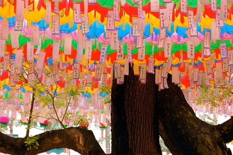 Global Summit 2015 | Peer2Politics | Scoop.it