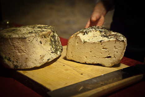 Magnificent Raw Milk Cheeses of Le Marche:Fontegranne - Belmonte Piceno - Fermo | Good Things From Italy - Le Cose Buone d'Italia | Scoop.it