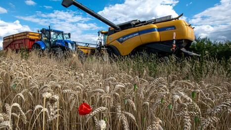 RE&rsquo;COL&rsquo;TE veut emmener les producteurs vers le sillon de l&rsquo;agriculture r&eacute;g&eacute;n&eacute;ratrice | revue de presse | Scoop.it
