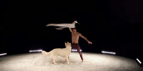 Cirque : une nouvelle ménagerie sous le chapiteau | Revue de presse théâtre | Scoop.it