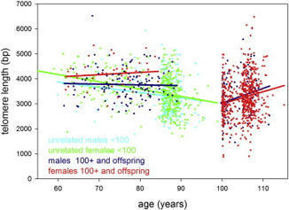 Inflammation, But Not Telomere Length, Predicts Successful Ageing at Extreme Old Age: A Longitudinal Study of Semi-supercentenarians | LongevityBluePrintRx | Scoop.it