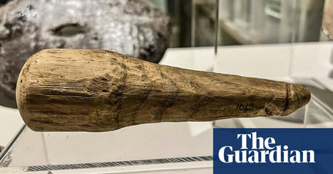 It’s not a darning tool, it’s a very naughty toy: Roman dildo found | Archaeology | The Guardian | Archaeo | Scoop.it