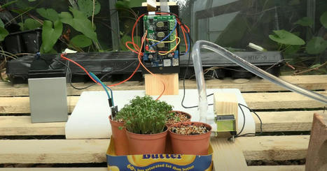 Sistema de riego automático de plantas con Raspberry Pi | tecno4 | Scoop.it