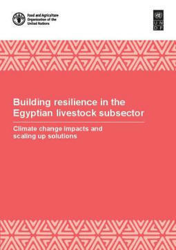 Building resilience in the EGYPTIAN livestock subsector | CIHEAM Press Review | Scoop.it