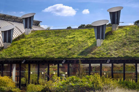 Assouplissement et bonus du PLU pour la construction de toitures et murs végétalisés | Les Colocs du jardin | Scoop.it