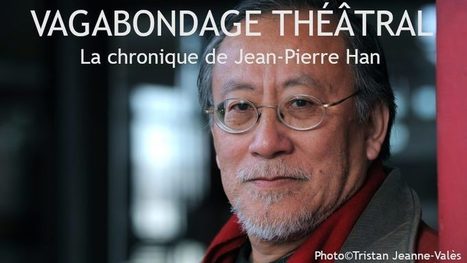 Petits incidents et autres anomalies, chronique de Jean-Pierre Han | Revue de presse théâtre | Scoop.it