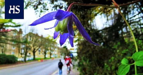 Etel&auml;-Euroopasta tullut l&auml;mp&ouml; pit&auml;&auml; mittarit pitk&auml;&auml;n plussan puolella &ndash; Meteorologi: &rdquo;Jos samanlainen l&auml;mmin ilmamassa tulisi kes&auml;ll&auml;, se tiet&auml;isi hellett&auml;&rdquo; - Kotimaa | HS.fi | 1Uutiset - Lukemisen t&auml;hden | Scoop.it